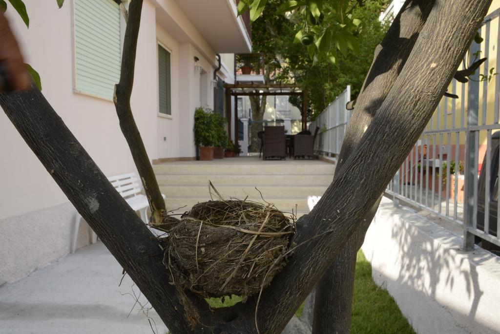 B&B Villa Degli Angeli Praia a Mare Buitenkant foto